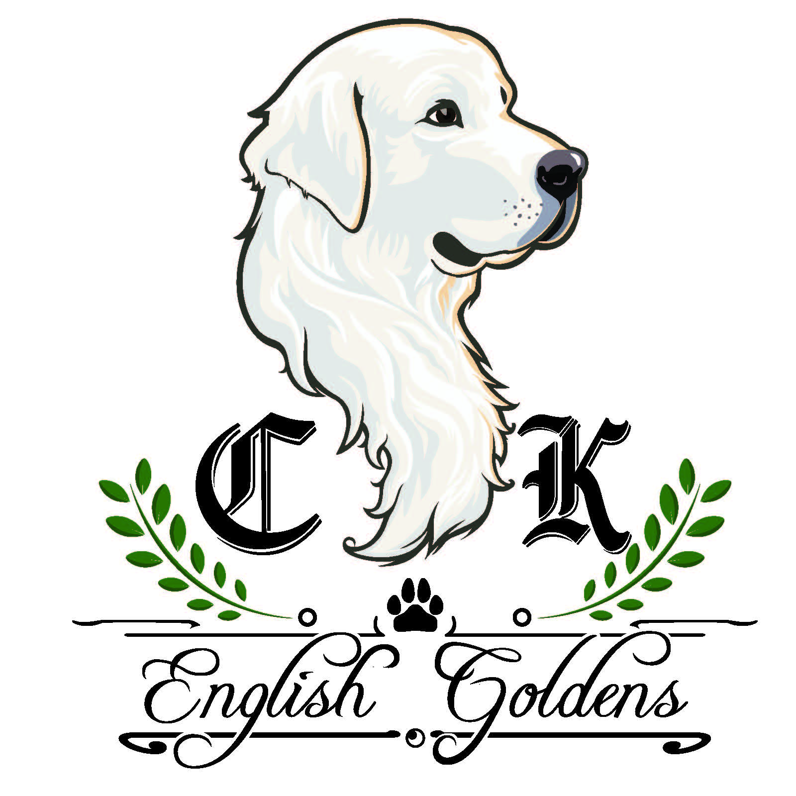 CK English Goldens
